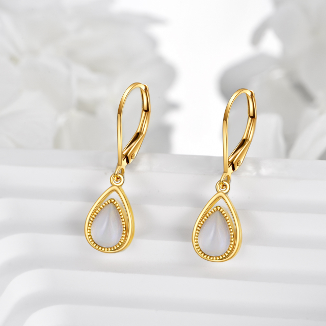Boucles d'oreilles pendantes en forme de goutte en pierre de lune en forme de poire en or 14 carats-3